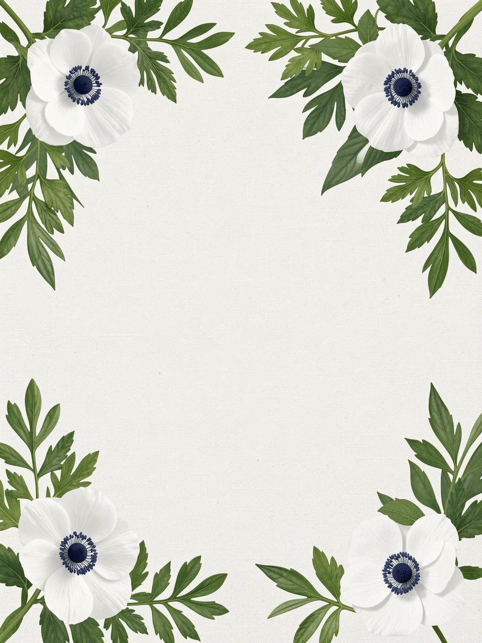 White anemone flowers and green foliage frame a blank textured off-white cotton paper background.