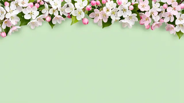 Apple blossom branches with white and pink flowers form a top border above a soft pale green background.