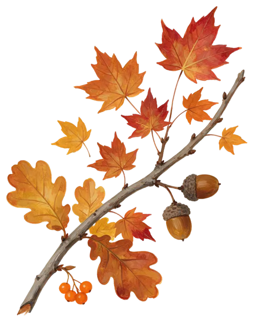 Gouache illustration of a curved autumn branch with oak leaves, maple leaves, acorns and orange berries.