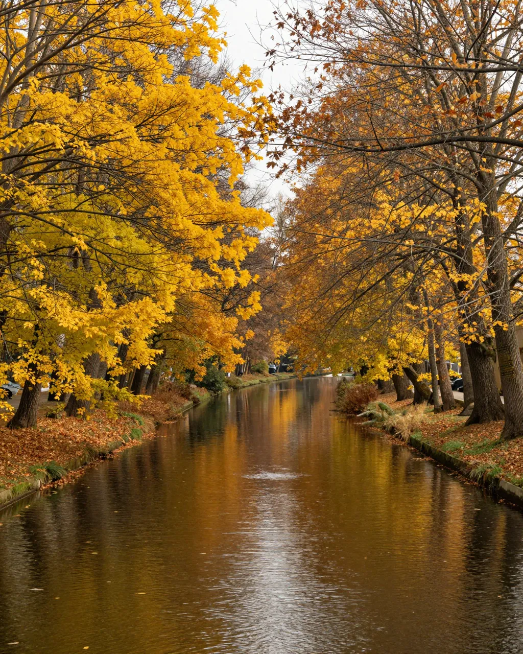 A calm tree-lined canal reflects golden autumn foliage under an overcast sky
