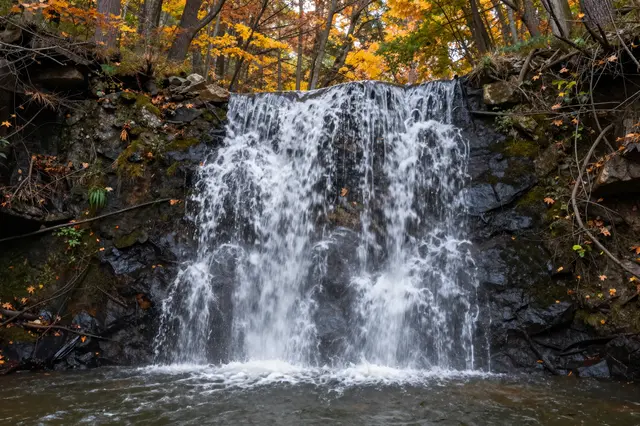 A small cascading waterfall flows over dark mossy rocks surrounded by golden autumn forest trees
