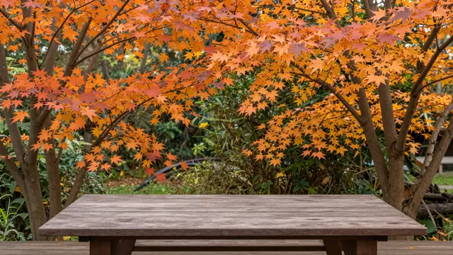 Empty weathered wooden table sits beneath vibrant orange maple trees on an autumn garden terrace