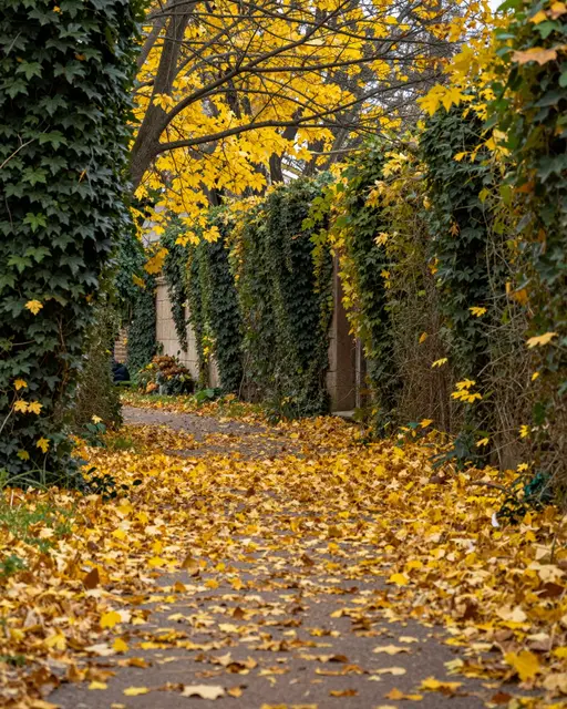 A narrow paved alley lined with ivy-covered walls is blanketed in fallen golden autumn leaves