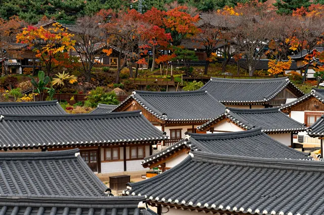 Layered traditional Korean hanok rooftops sit beneath vibrant autumn trees on a hillside village.