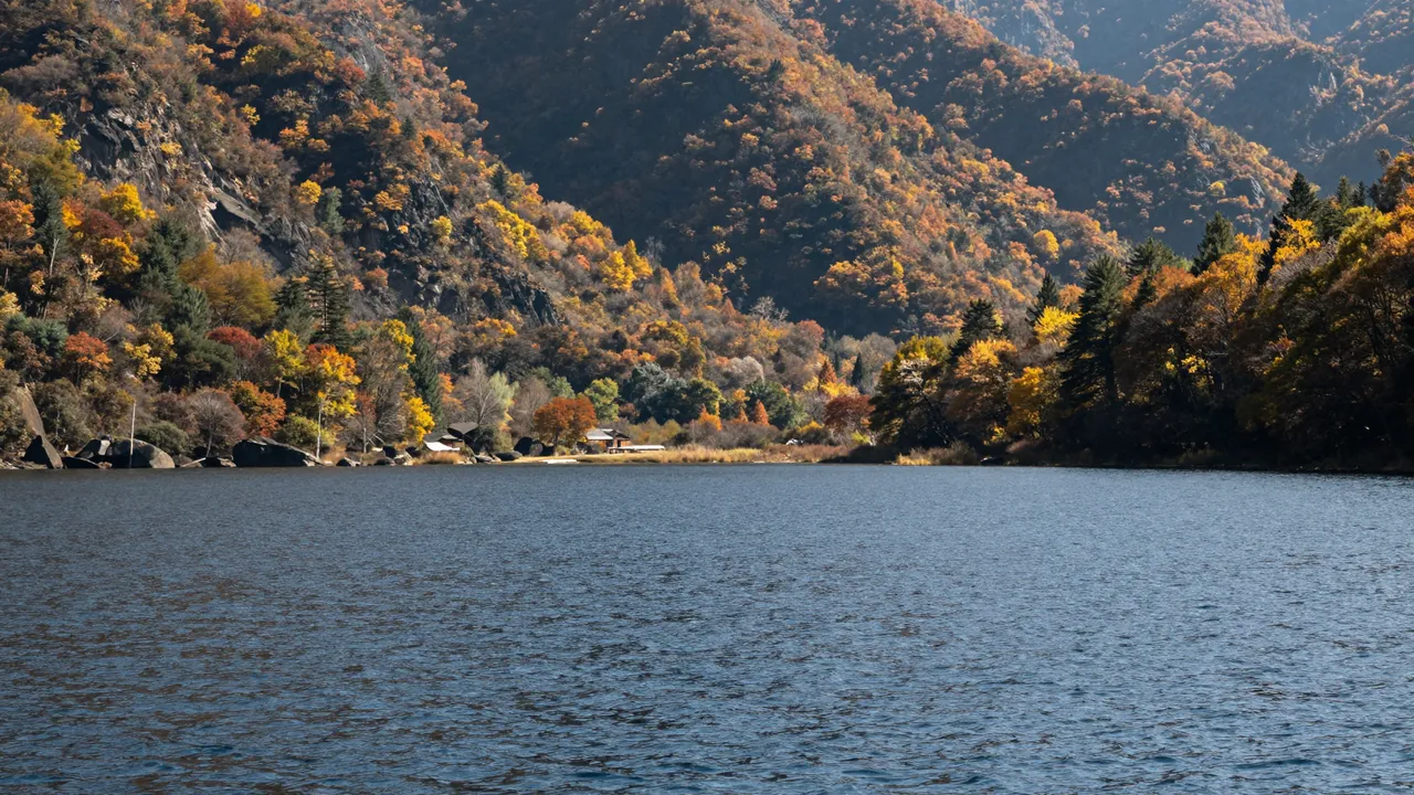 Calm rippled lake sits below forested mountains covered in vivid fall foliage under bright daylight