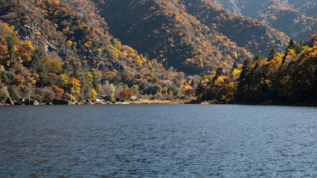 Calm rippled lake sits below forested mountains covered in vivid fall foliage under bright daylight