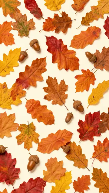 Scattered colorful autumn oak leaves and acorns arranged on a smooth cream background
