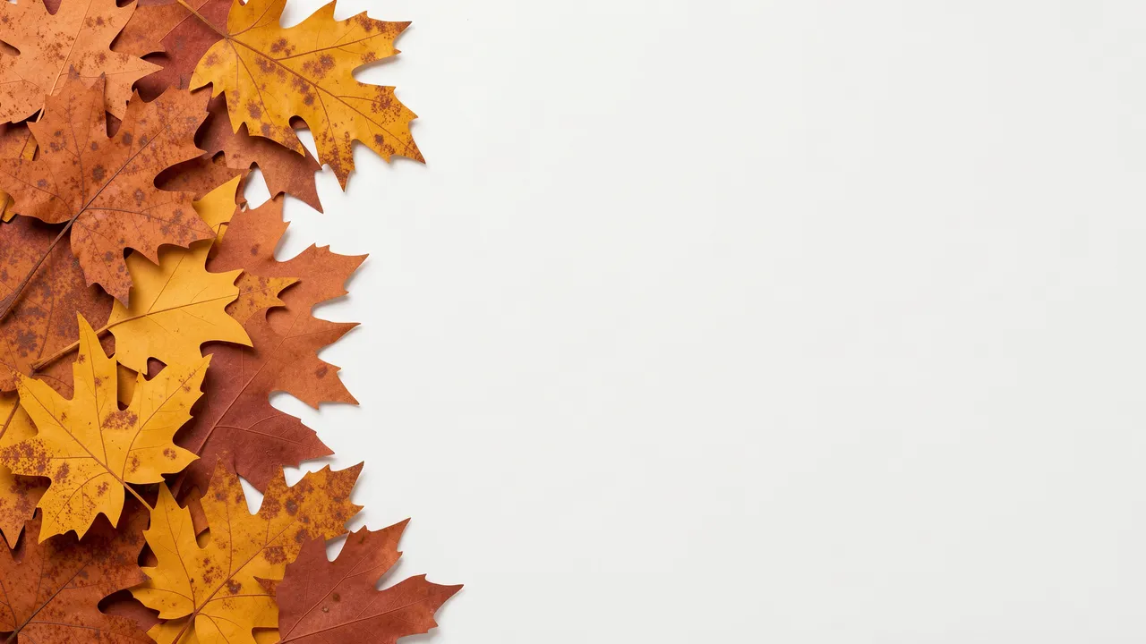 Layered rust and ochre autumn leaves line the left edge of a plain white empty right side.