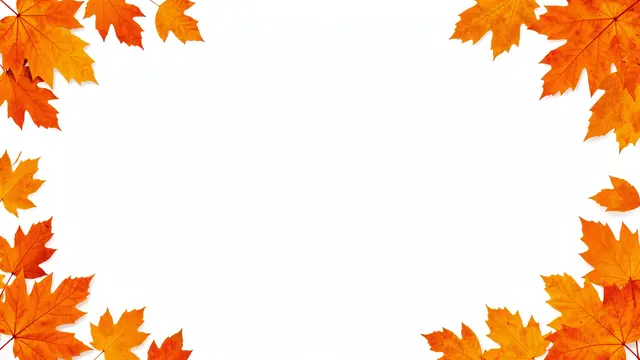 Bright orange and yellow maple leaves arranged along left and right edges framing blank white copy space