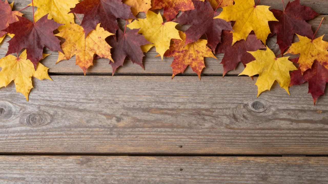 Colorful fall maple leaves arranged along the top edge of weathered wooden planks with empty copy space below.