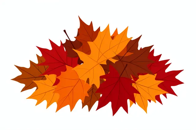 Flat clipart pile of orange, red and brown maple leaves isolated on a plain white background