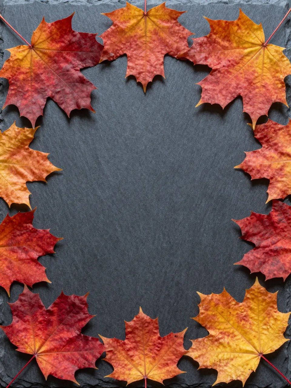 Overhead view of red and orange maple leaves arranged in a border around a dark slate surface