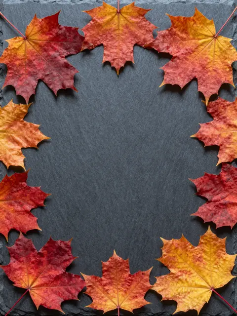 Overhead view of red and orange maple leaves arranged in a border around a dark slate surface