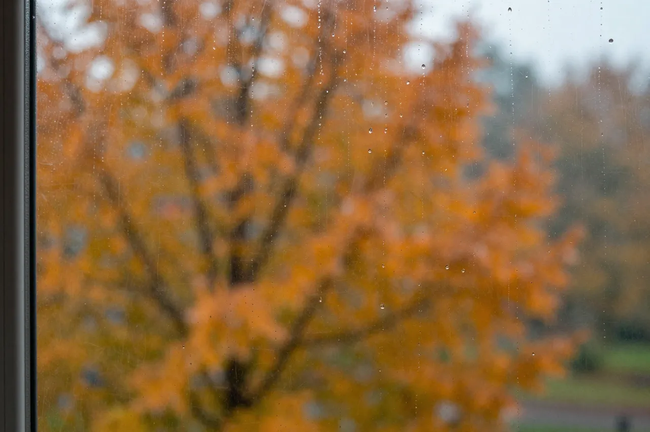 Raindrops rest on a window pane with blurred orange autumn trees visible outside