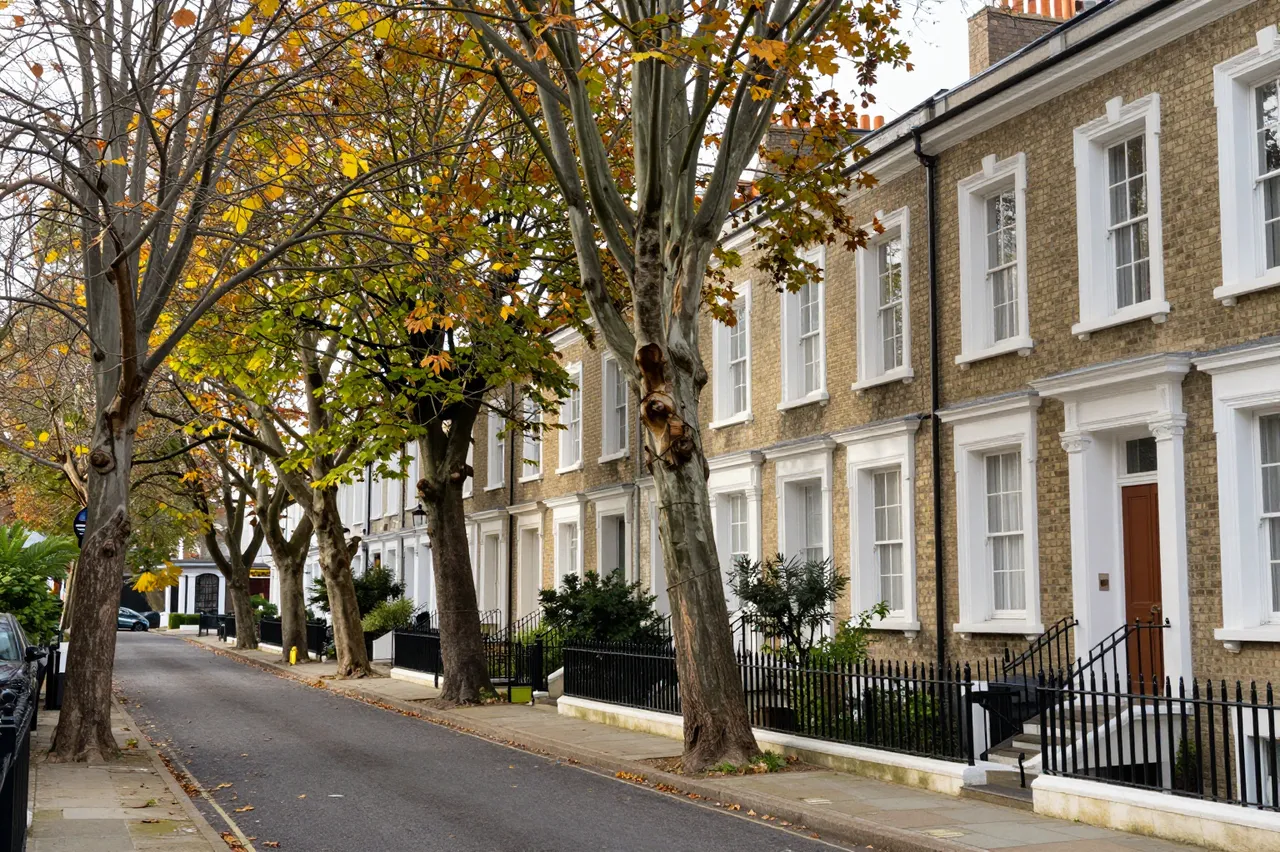 Quiet tree-lined residential street with brick row houses under overcast autumn light