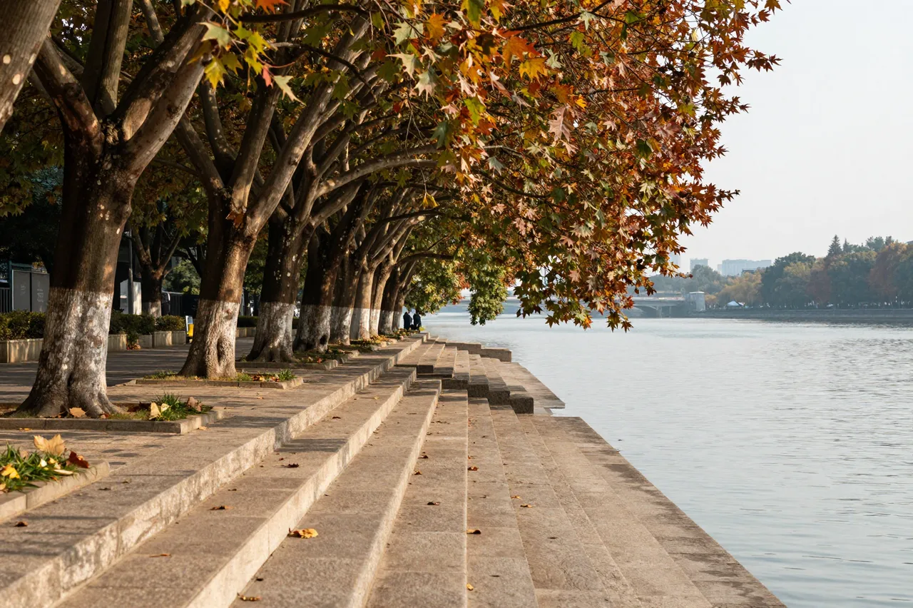 Stone steps lead down to a calm river beneath a row of autumn maple trees along a waterfront promenade