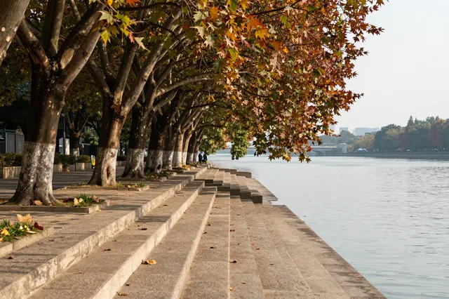 Stone steps lead down to a calm river beneath a row of autumn maple trees along a waterfront promenade