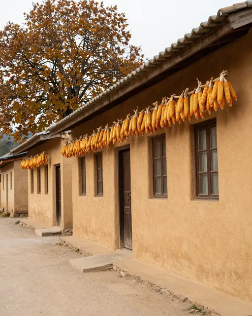 Earthen village houses with hanging dried corn cobs line a quiet dirt lane beside an autumn tree