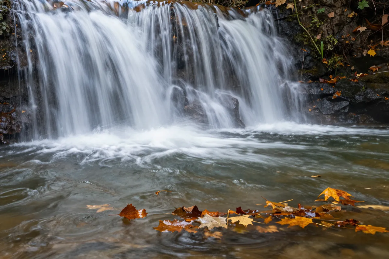 Silky long exposure waterfall flows into a pool dotted with floating fall leaves
