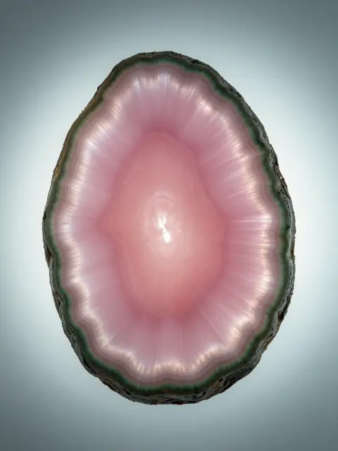 A polished cross-section tourmaline slice with pink center and green rim glows when backlit on a light table