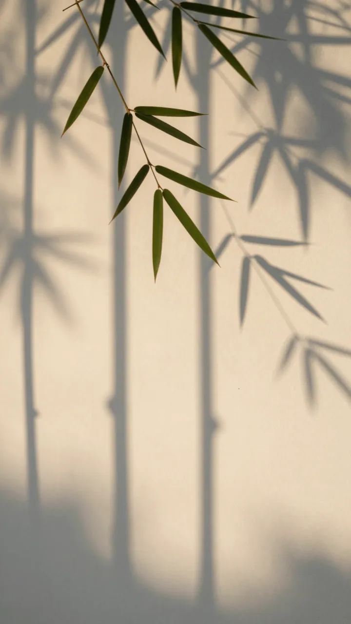 Sharp bamboo leaf foliage hangs at the top, casting soft vertical shadows across a warm off-white wall with empty copy space.