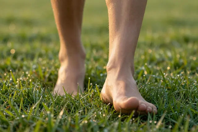 Close-up of bare human feet walking slowly across glistening dewy grass in warm sunrise light