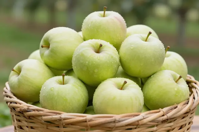 Woven wicker basket filled with dewy fresh green apples sits against a blurred orchard background