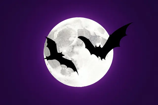 Two black bat silhouettes fly across a bright full moon against a deep purple night sky