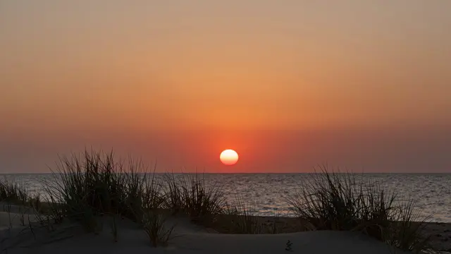 A blazing red sun sets over calm sea behind silhouetted dune grass under an orange sky