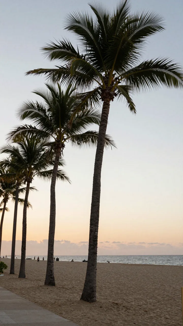 Row of coconut palm trees lines a sandy beach beneath a soft gradient sunset sky over the ocean