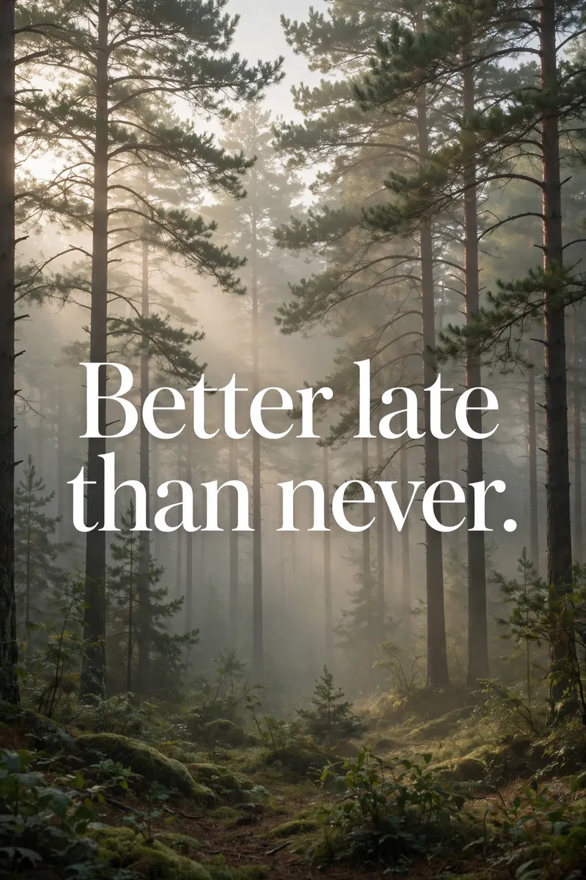 White serif quote "Better late than never." over a misty pine forest in soft morning light
