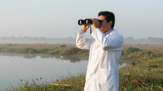 A Latino biologist uses binoculars to survey birds at the edge of a misty dawn wetland