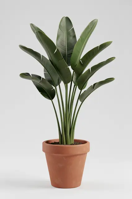 A soft matte 3D render of a bird of paradise houseplant growing in a simple terracotta pot against a light gray background