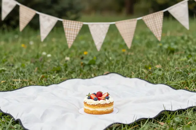 A small fruit-topped cake sits on a picnic blanket in a grassy meadow with fabric bunting strung in the background