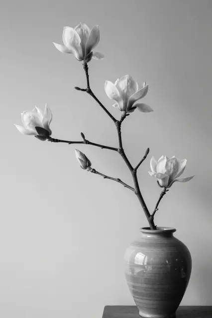 A magnolia branch with open blooms and a bud sits in a ceramic vase against a plain wall.