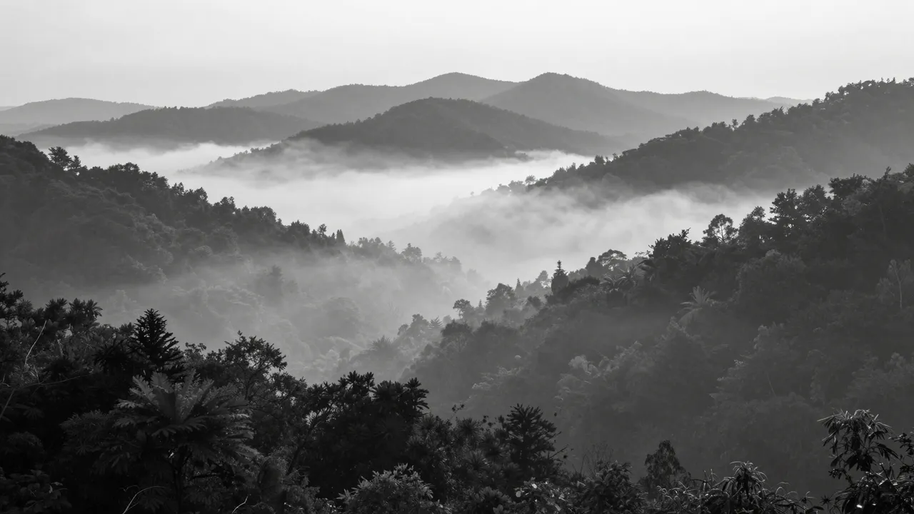 Layered forested ridges rise above fog pooling in a valley at early dawn in monochrome