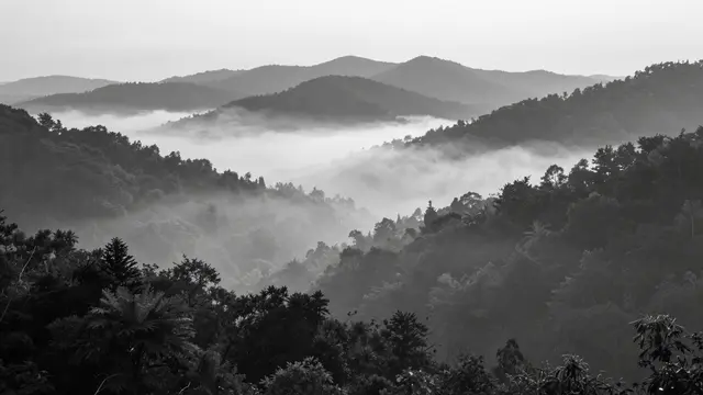 Layered forested ridges rise above fog pooling in a valley at early dawn in monochrome