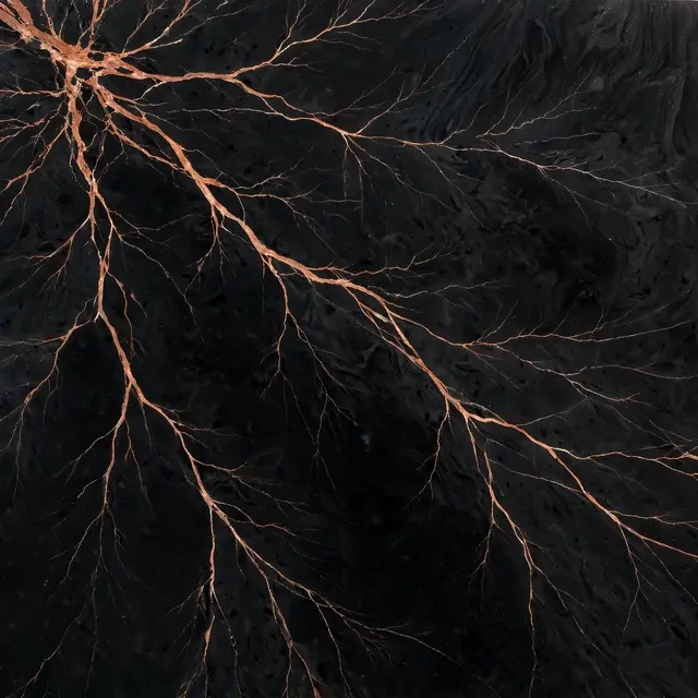 Polished black marble surface with fine branching copper veins from the top left corner