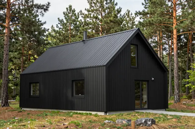 A sleek black timber-clad modern gable house sits surrounded by tall pine trees