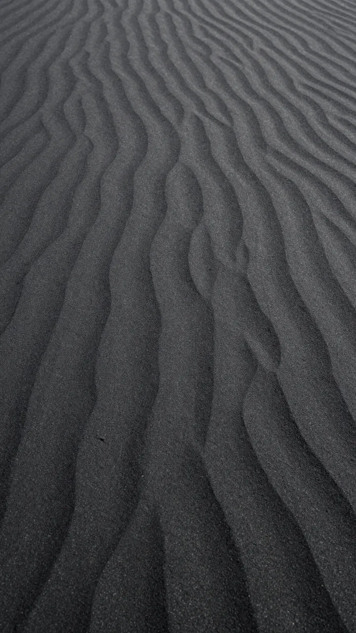 Close-up view of smooth wavy ripples in dark black sand lit by soft low raking light
