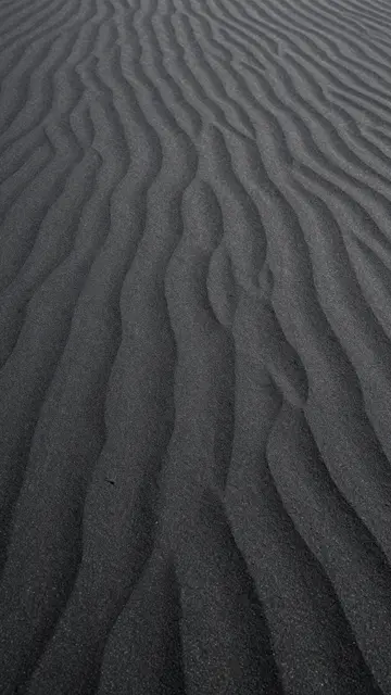 Close-up view of smooth wavy ripples in dark black sand lit by soft low raking light