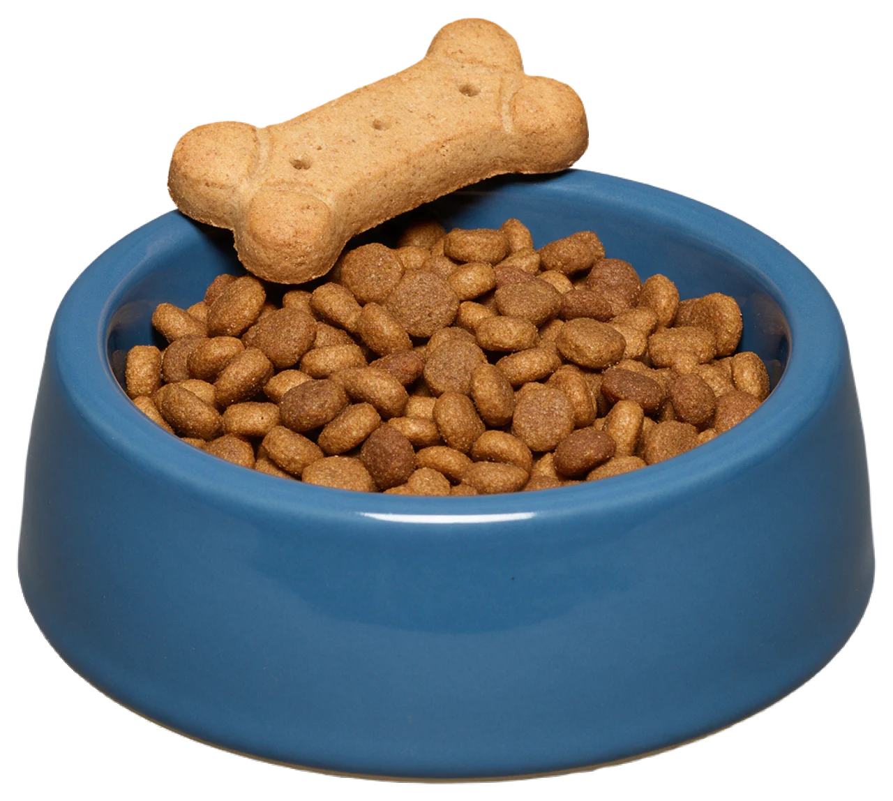 A blue ceramic dog bowl filled with kibble holds a bone-shaped biscuit resting on its rim