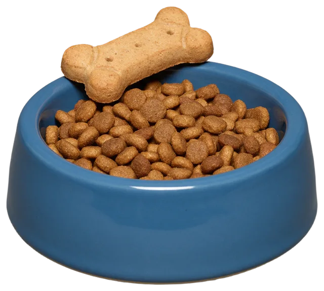 A blue ceramic dog bowl filled with kibble holds a bone-shaped biscuit resting on its rim