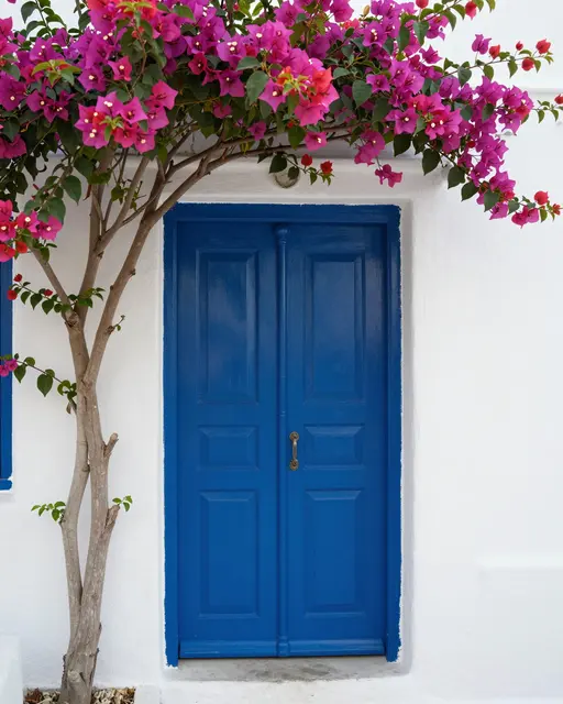 Bright blue wooden door framed by pink bougainvillea on a white plaster Greek house exterior