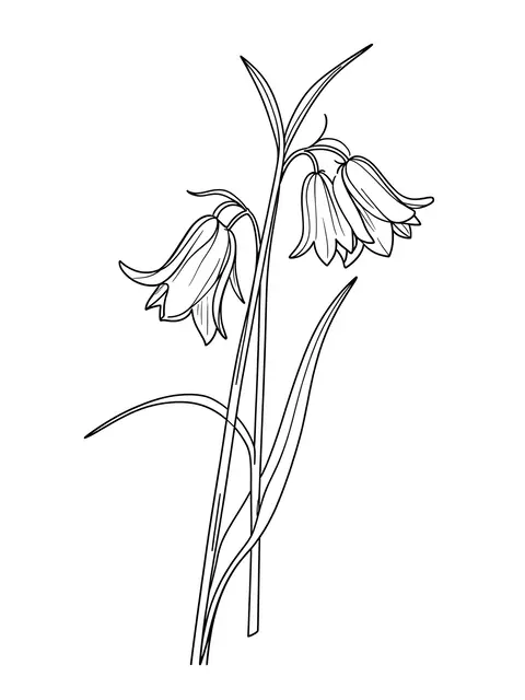 Continuous black line illustration of a drooping bluebell stem on a plain white background