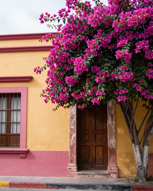Vibrant pink bougainvillea grows beside a yellow and pink painted Mexican house exterior.