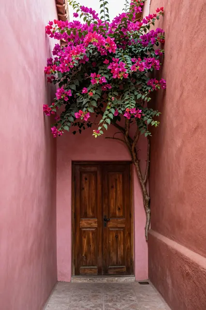 Vibrant pink bougainvillea spills over a wooden door in a narrow pink and terracotta plaster alley