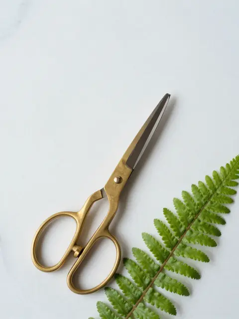 Top view of brass scissors and a green fern frond resting on white marble with empty copy space above