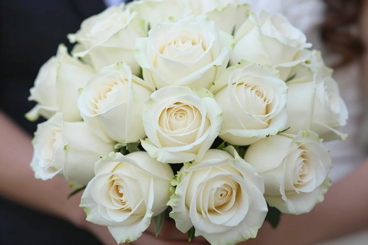 Close-up of a rounded bouquet of creamy white wedding roses with dew droplets held by partially visible people.