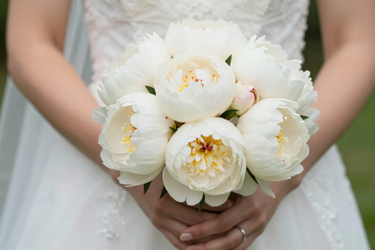 Close-up of a bride's clasped hands holding a full bouquet of creamy white peonies